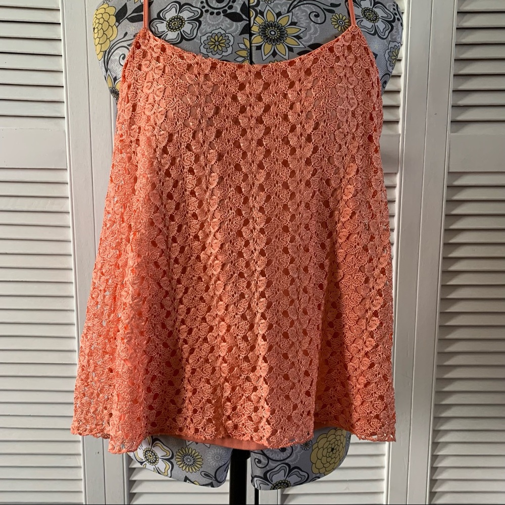 Lily Morgan Ladies Crop Top